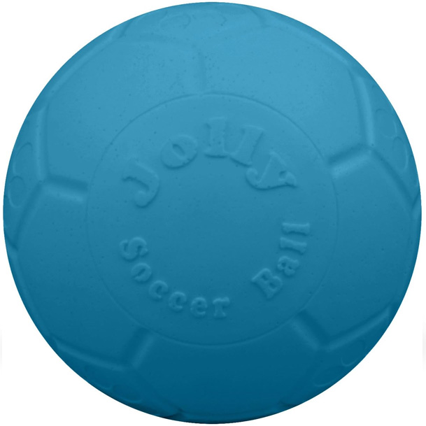 jolly blue pet ball