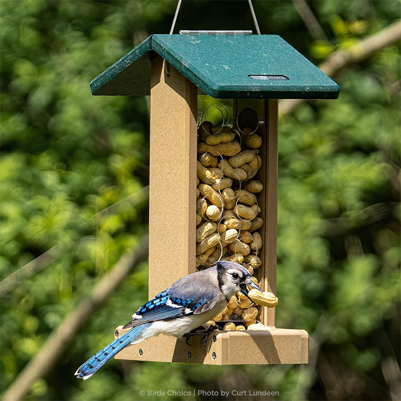 bird feeder 17