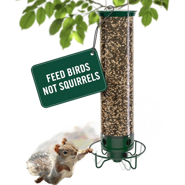 bird feeder 8