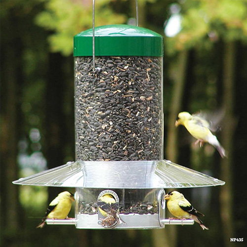 feeder 21