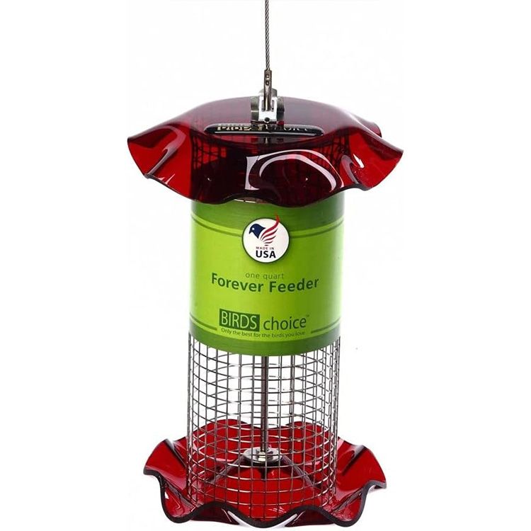 bird feeder 1