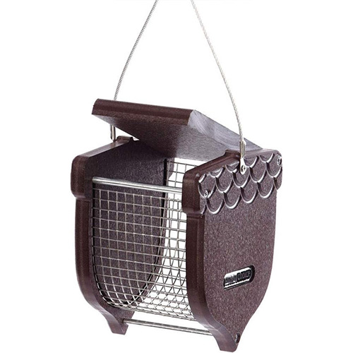 bird feeder 2