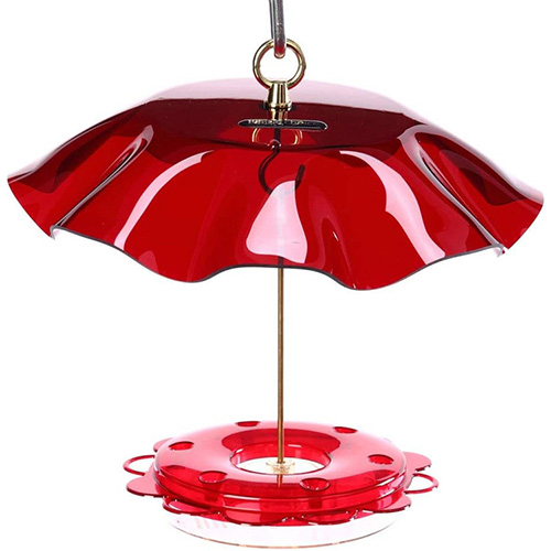 bird feeder 12
