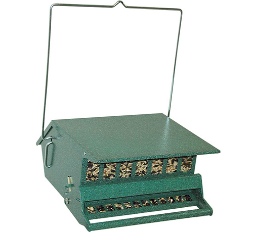 bird feeder 7