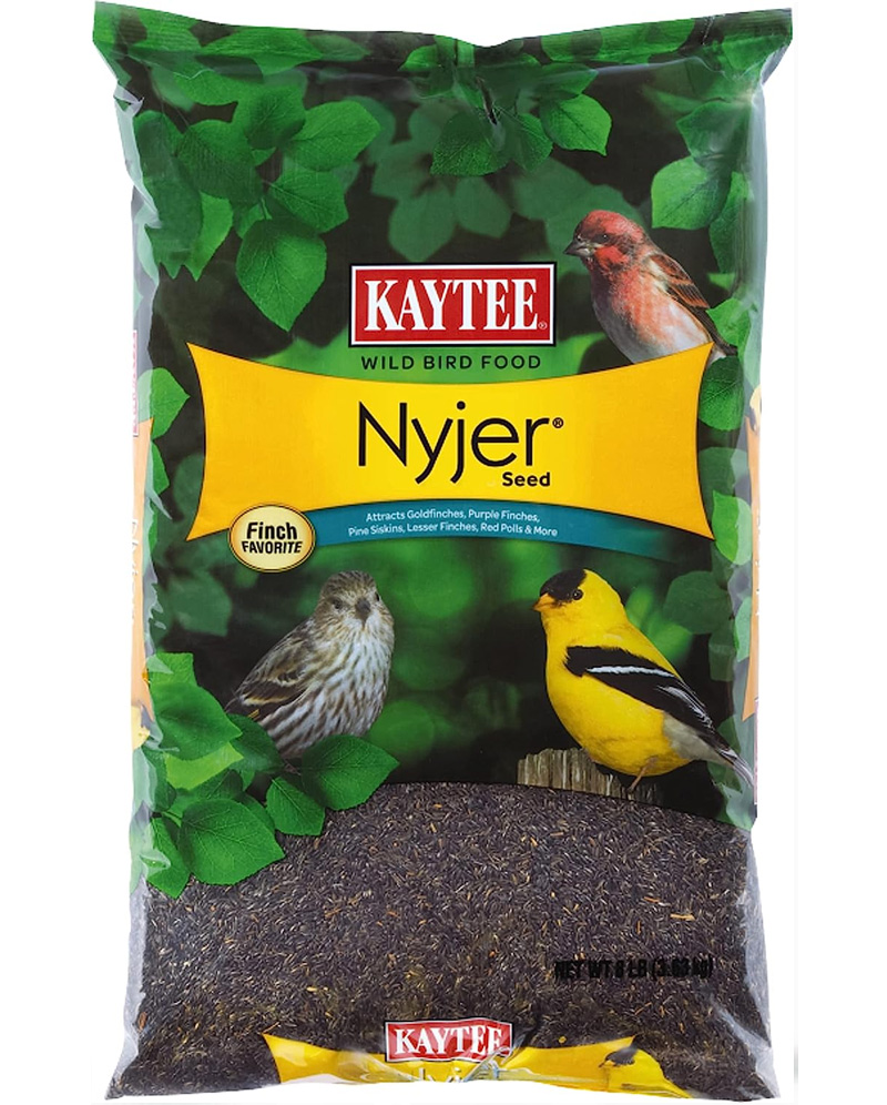 nyjer seeds