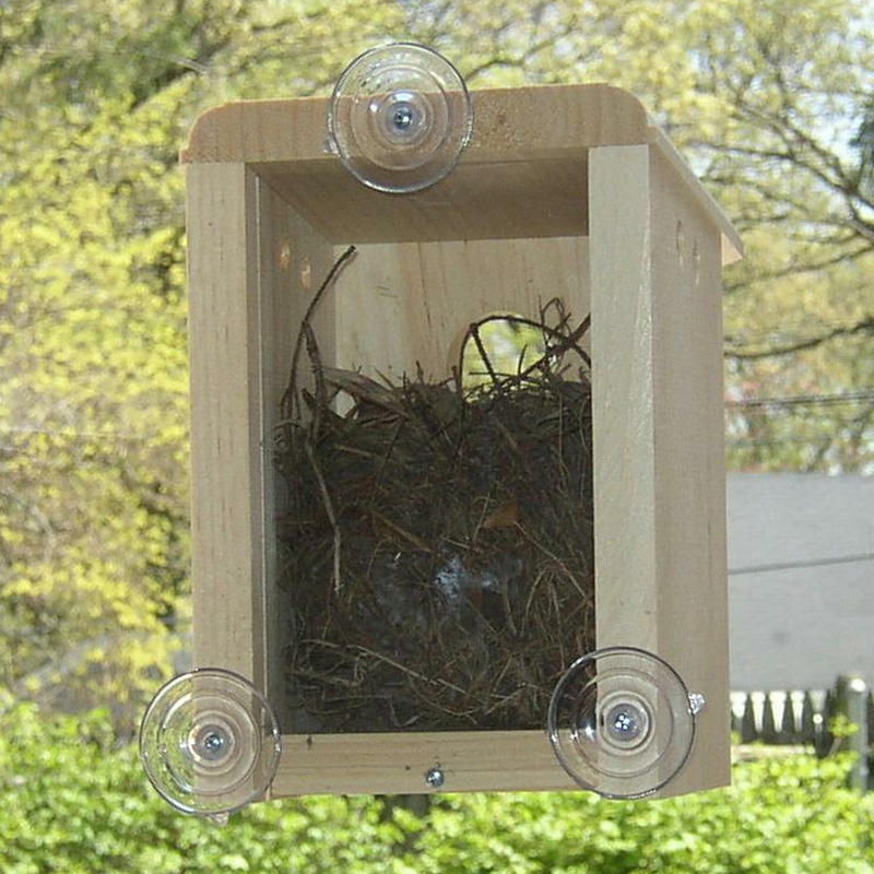 nest box