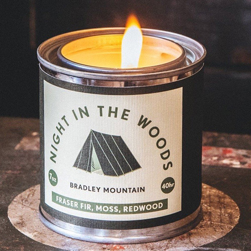 night in the woods candle