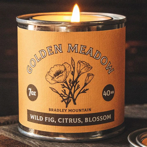 golden meadow candle