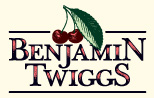 benjamin twiggs logo