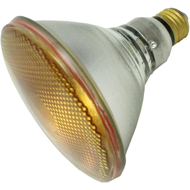 light bulb 4