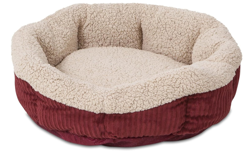cat bed 1