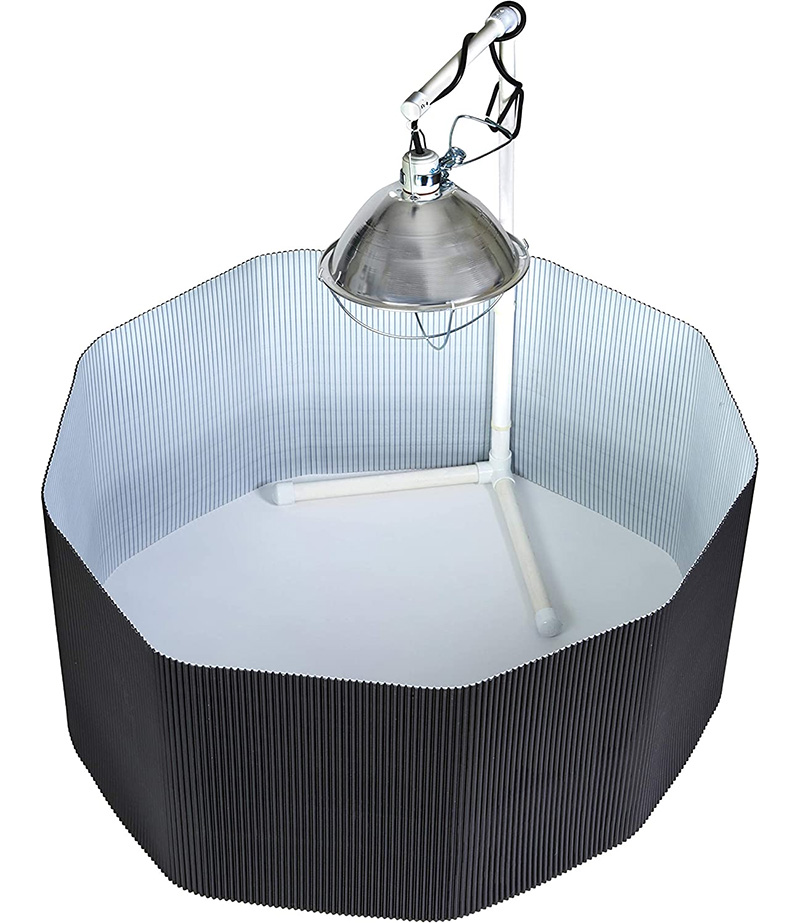 brooder kit