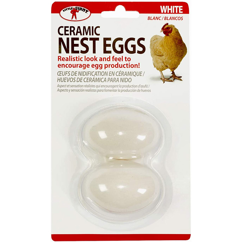 artificial eggs