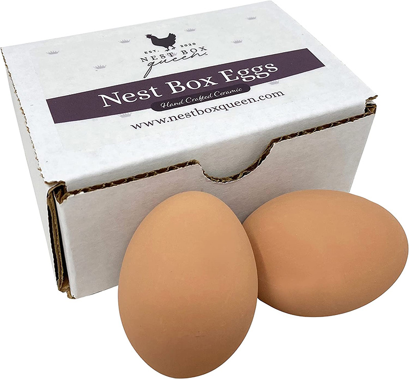 artificial eggs