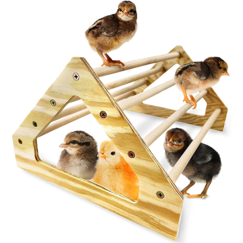 jungle gym