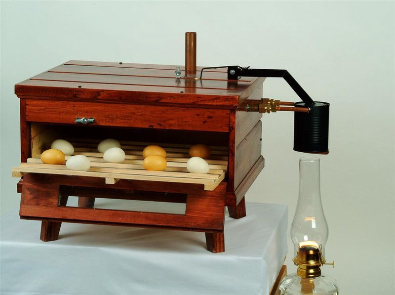 egg incubator