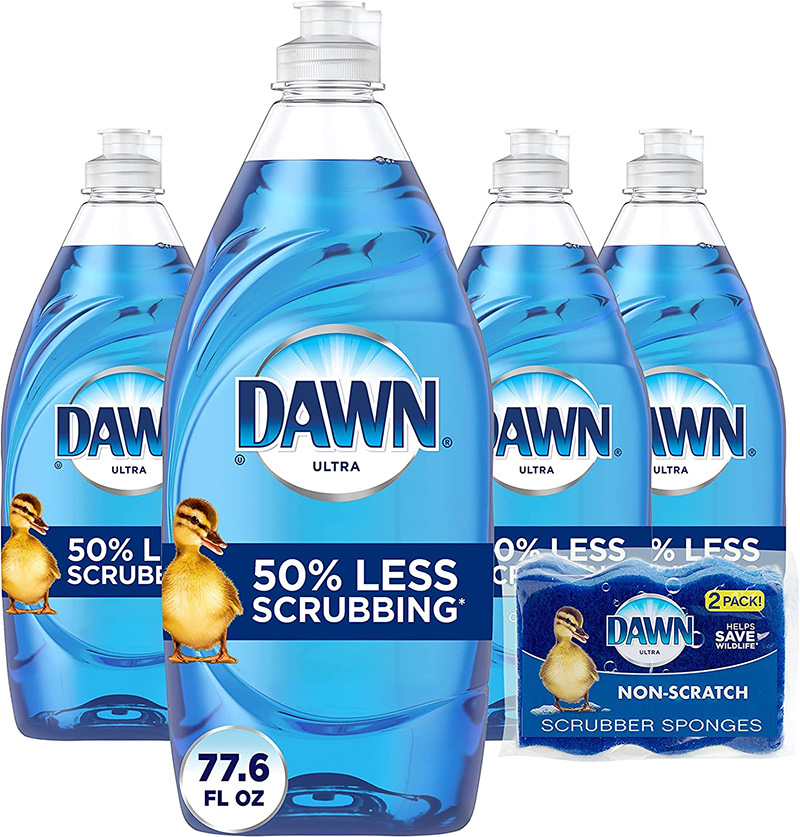 dawn 1