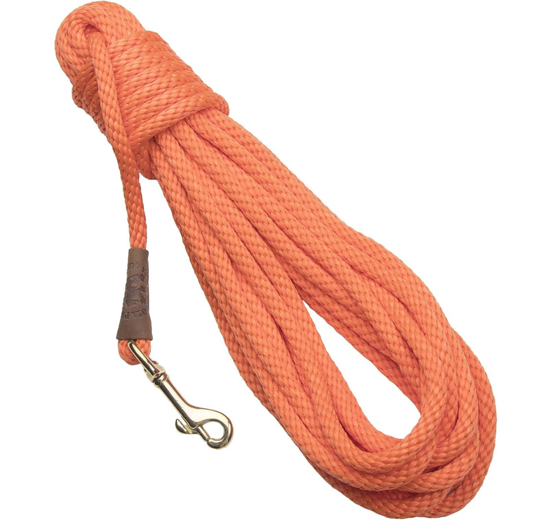 training lead orange