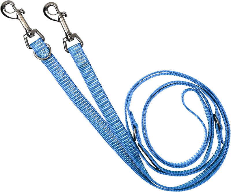leash 4