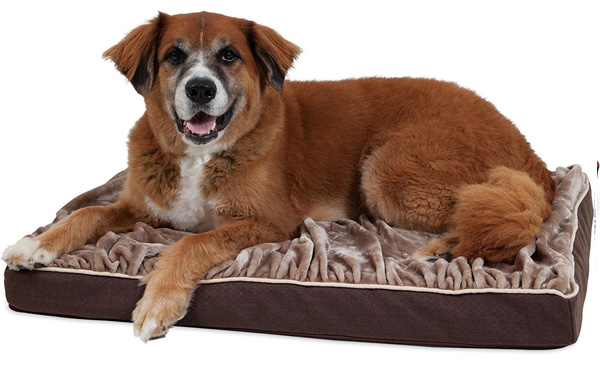orthopetc bed