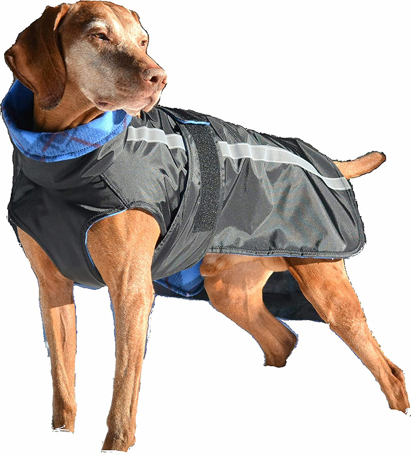 dog rain coat 13