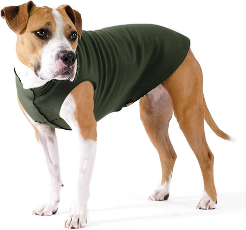 dog coat 5