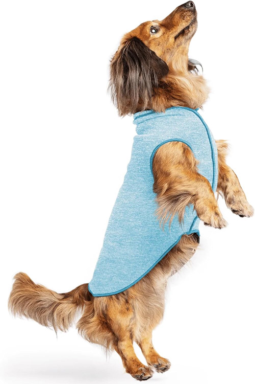 dog coat 1