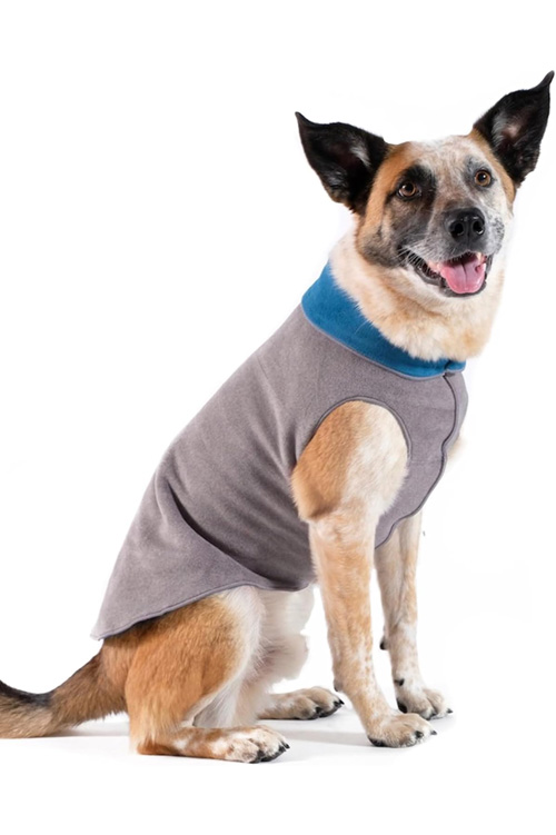 dog coat 2