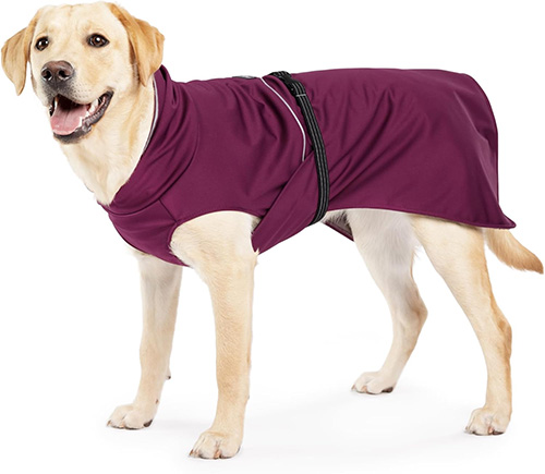 dog coat 8