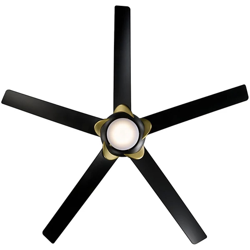 fan 1