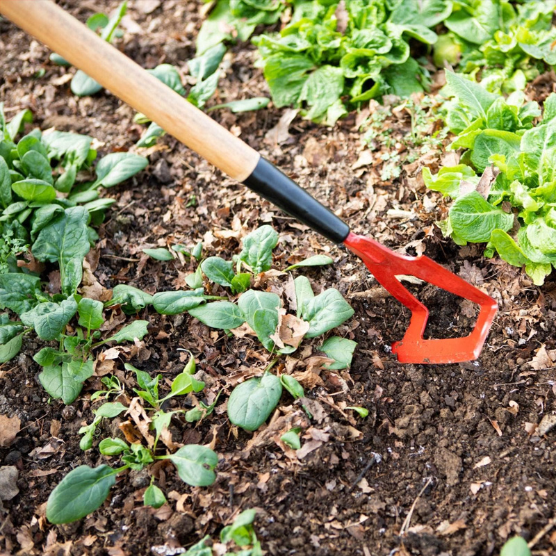 rake