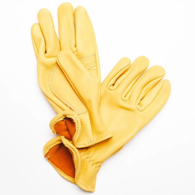 gloves 6