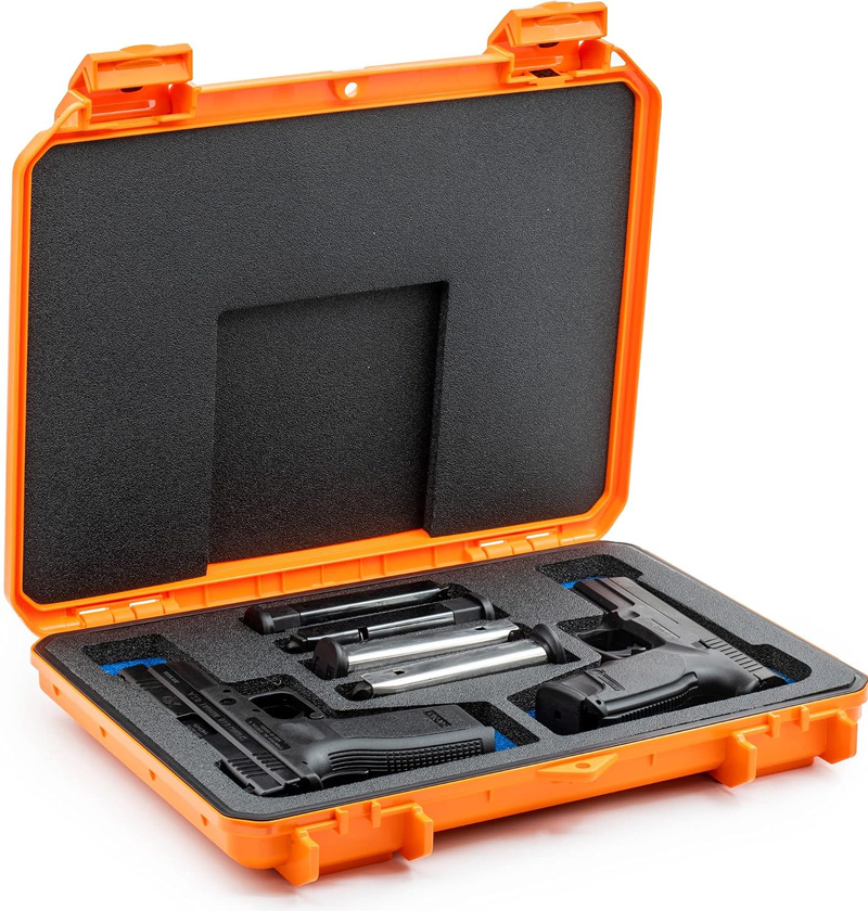 2 gun case