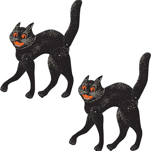 spooky cats