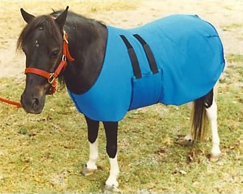 pony sheet
