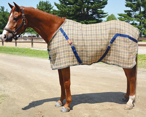 original 5 a baker blanket