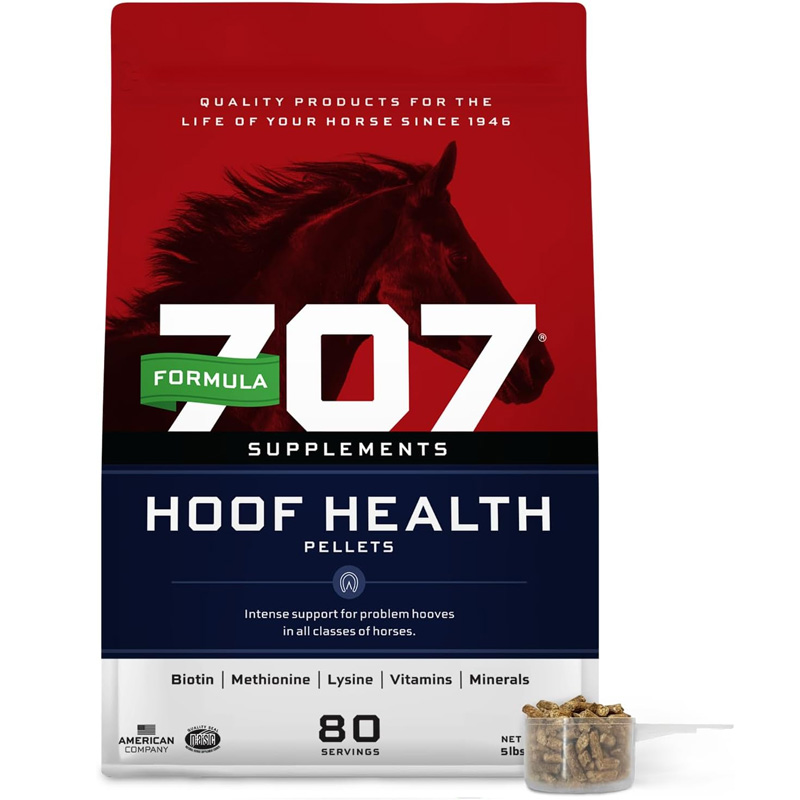 horse supplement 1