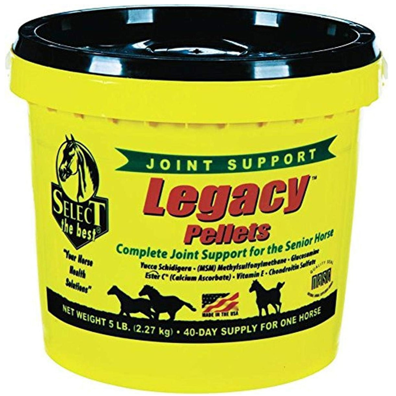 joint support senior