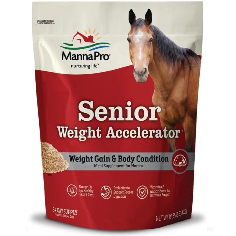 senior horse 6