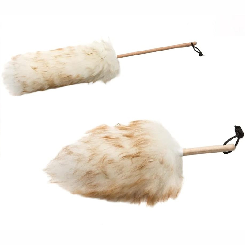 duster 1