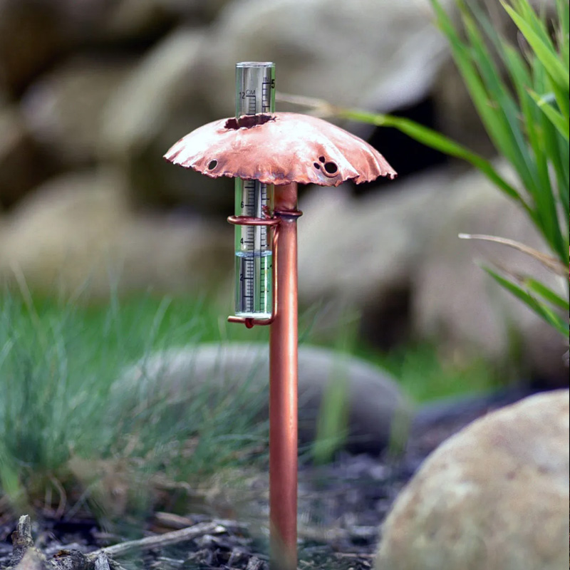 mushroom rain gauge