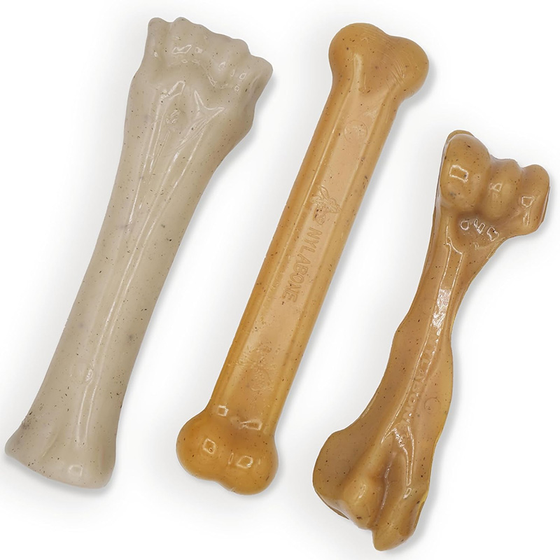 nylabone toy 1