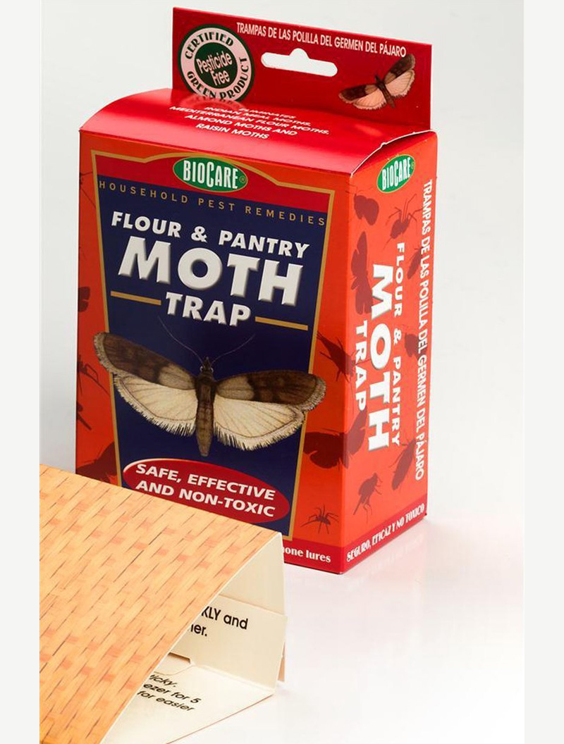 moth trap 2