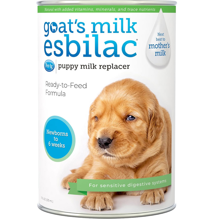goat milk
