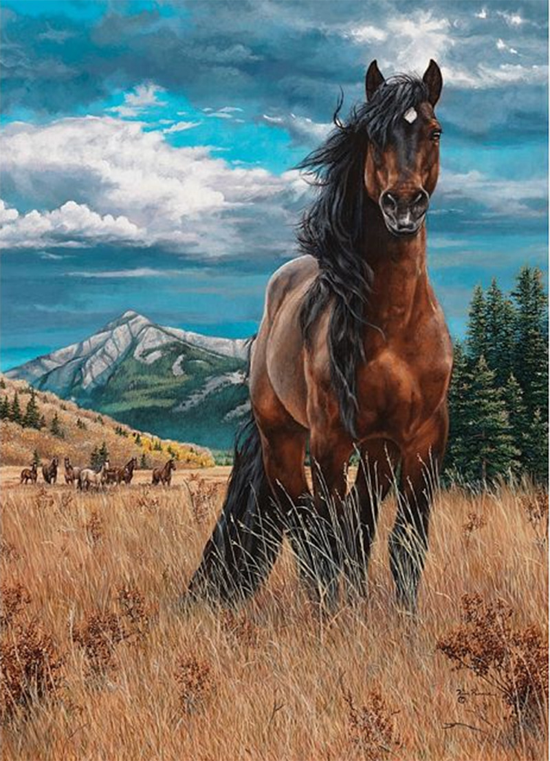 freedom horse