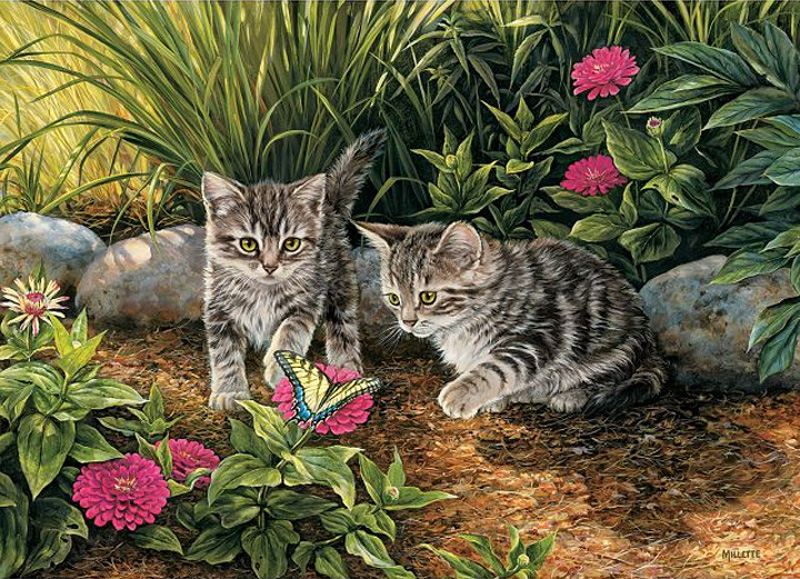 two cats puzzle