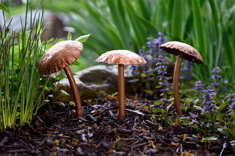 copper mushrooms