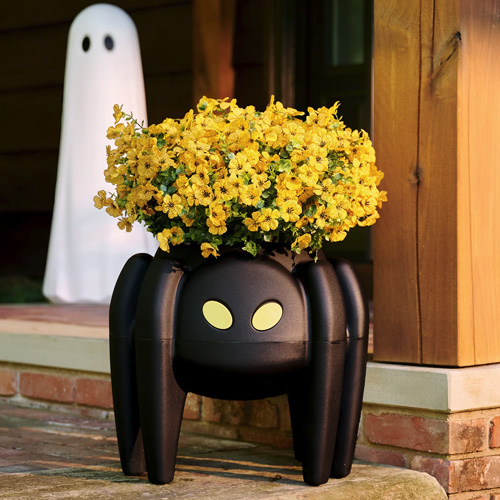 fall decor 3