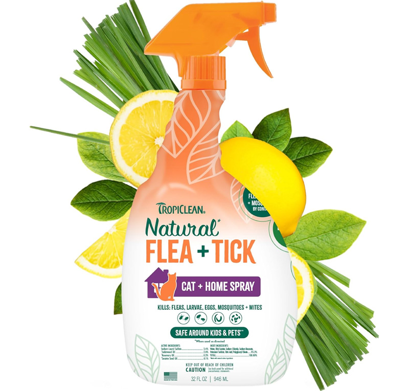 biogroom shampoo