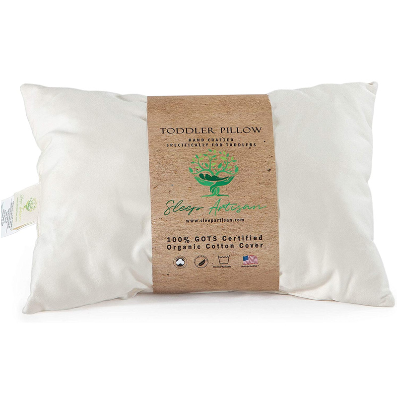 organic cotton pillow